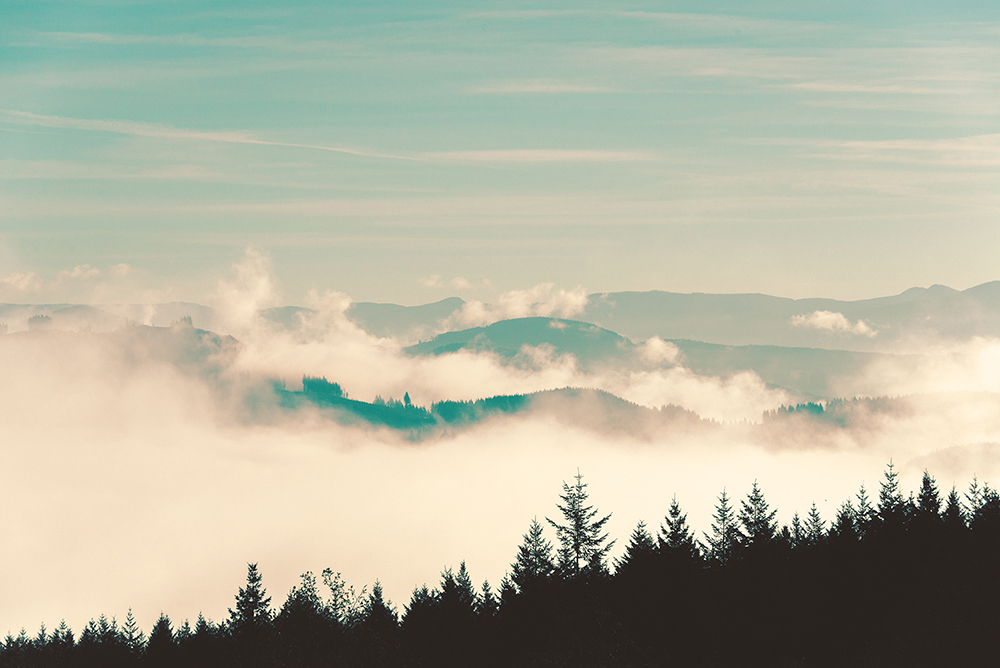 foggy trees, mountains, clouds, turquoise forest sky mountain, nature photography, nature magick